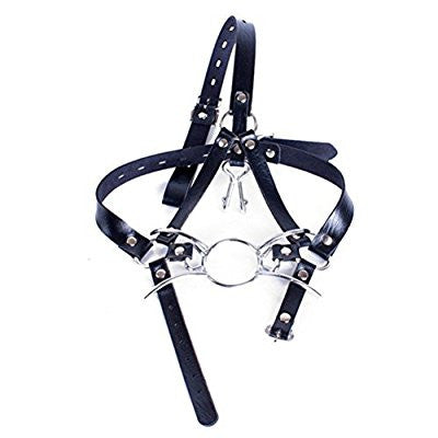 Spider Ring Gag with Nose Hooks & Head Harness