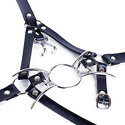Spider Ring Gag with Nose Hooks & Head Harness