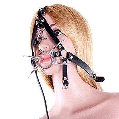 Spider Ring Gag with Nose Hooks & Head Harness