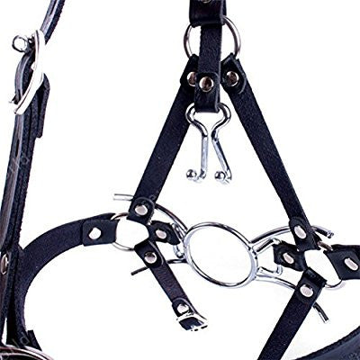 Spider Ring Gag with Nose Hooks & Head Harness