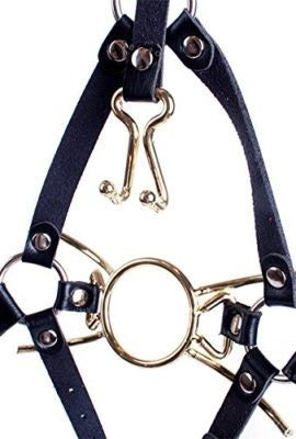 Spider Ring Gag with Nose Hooks & Head Harness