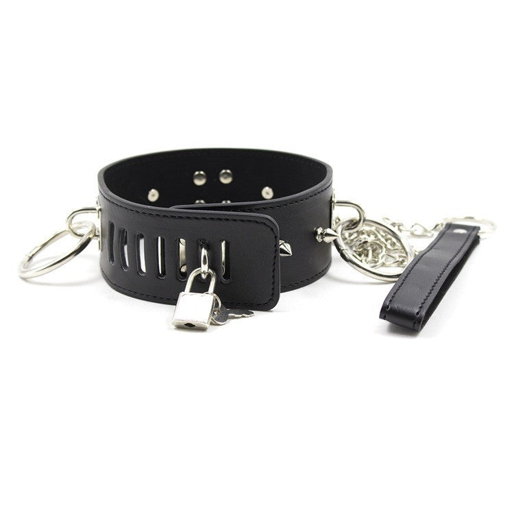 Metal Ring Collar & Leash